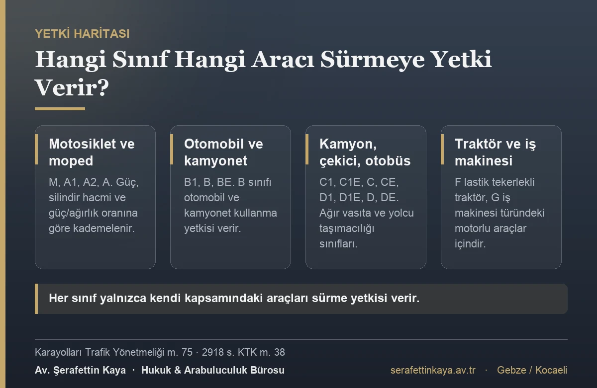 Sürücü belgesi sınıflarının araç ailelerine göre dağılımı: motosiklet için M, A1, A2, A; otomobil ve kamyonet için B1, B, BE; ağır vasıta ve otobüs için C ve D grupları; traktör için F, iş makinesi için G.