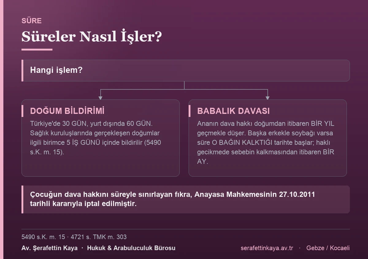 Doğum bildirimi ve babalık davası sürelerini gösteren akış görseli.
