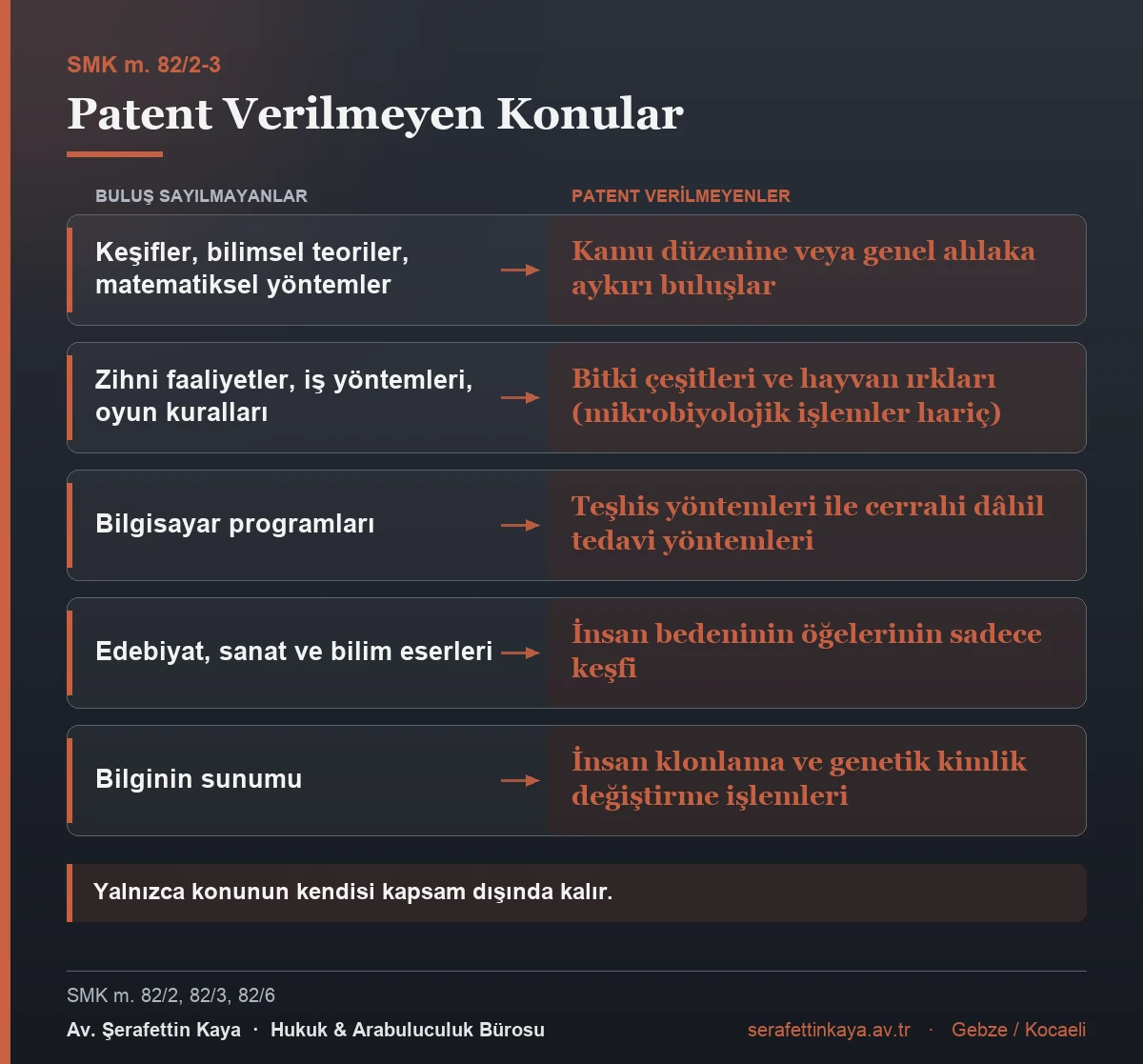 Patent verilmeyen konular