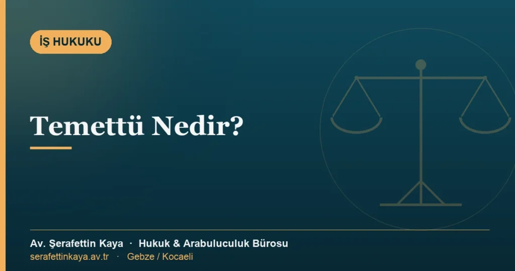 Temettü ve kâr payı konulu kapak görseli