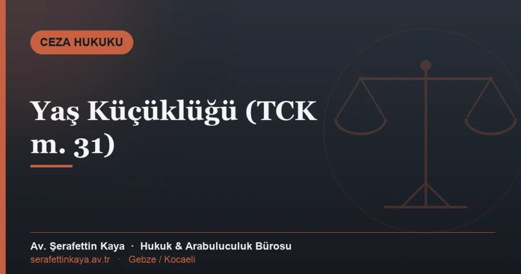 Yaş küçüklüğü ve çocukta ceza sorumluluğu konulu makale kapak görseli